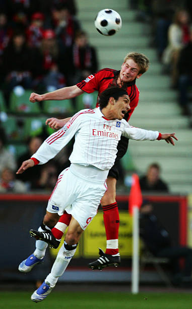 视布朗尼在 视布朗尼在